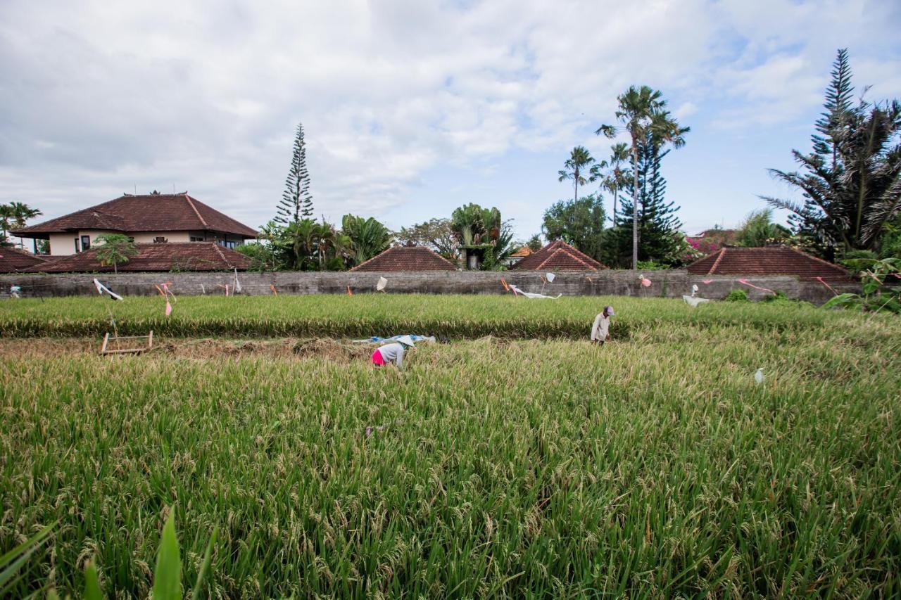 Villa Piece Of Peace Private 3Br With Large Pool And Garden Canggu Eksteriør bilde
